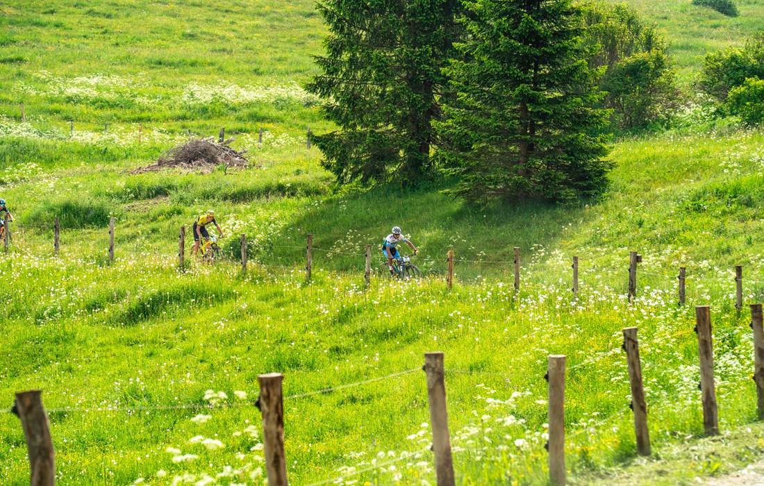 Sum Bike 100 Km Dei Forti 2021 Gober 13