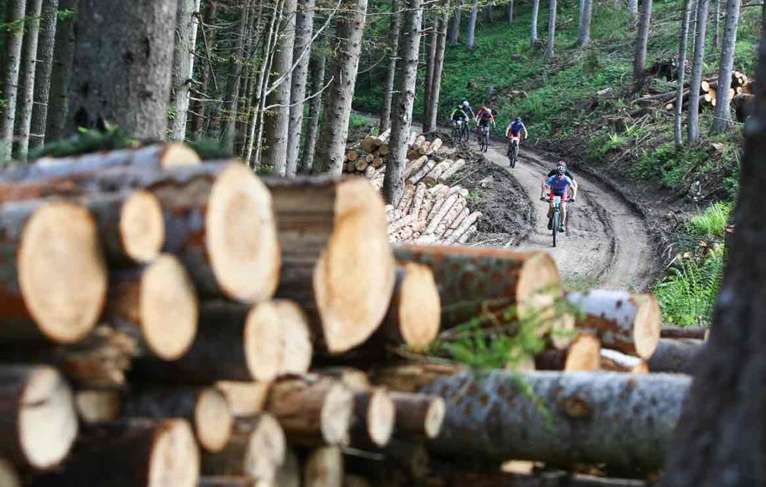 100Km Dei Forti ┬® FOTO DANIELE MOSNA FMD 21316